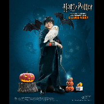 HARRY POTTER  (HALLOWEEN)